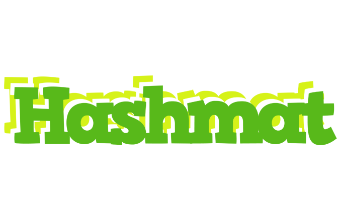 Hashmat picnic logo