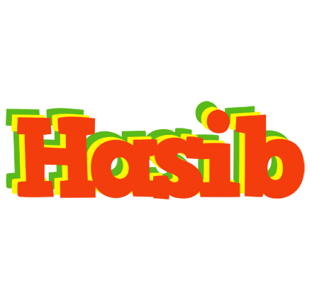 Hasib bbq logo