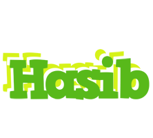 Hasib picnic logo