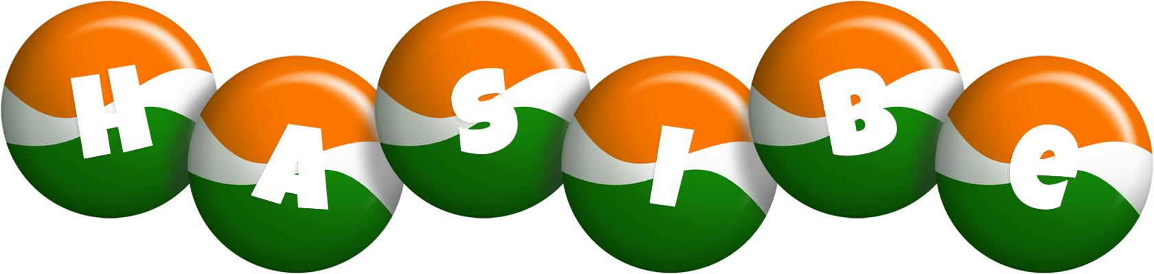 Hasibe india logo