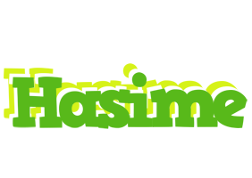 Hasime picnic logo