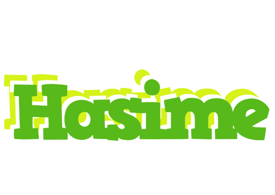 Hasime picnic logo