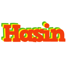 Hasin bbq logo