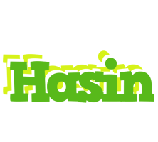 Hasin picnic logo