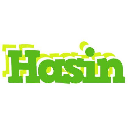 Hasin picnic logo
