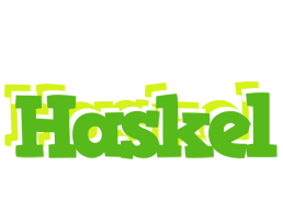 Haskel picnic logo