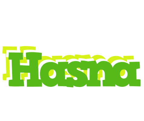 Hasna picnic logo