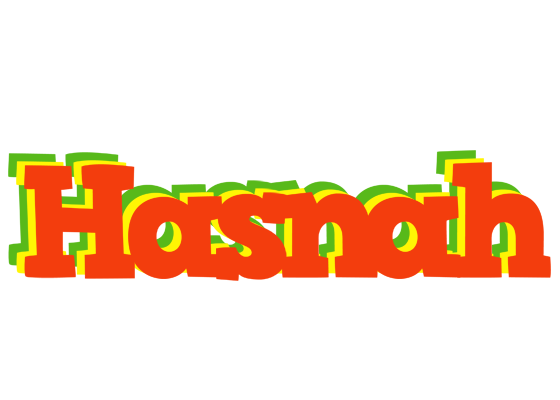 Hasnah bbq logo