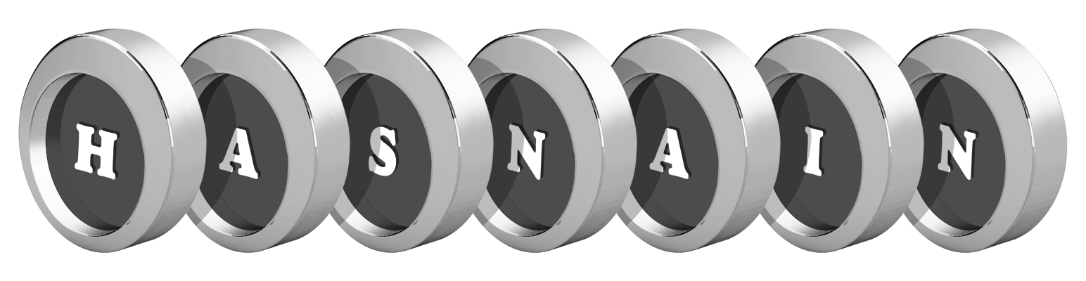 Hasnain coins logo