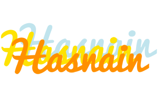 Hasnain energy logo
