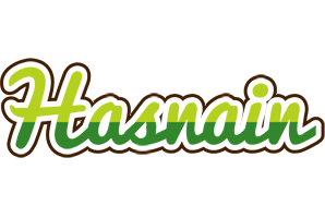 Hasnain golfing logo