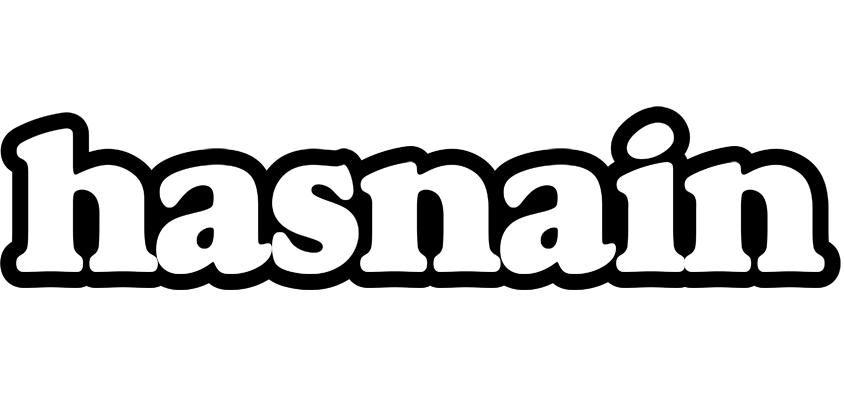 Hasnain panda logo