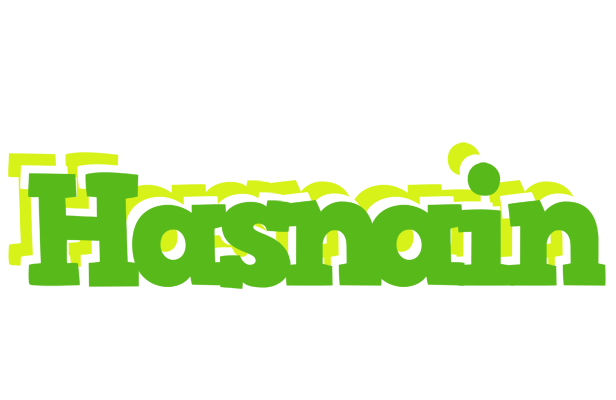 Hasnain picnic logo