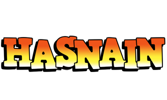 Hasnain sunset logo