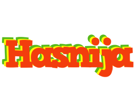 Hasnija bbq logo