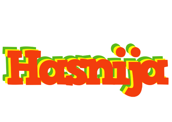 Hasnija bbq logo