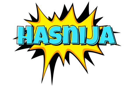 Hasnija indycar logo