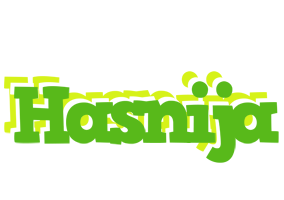 Hasnija picnic logo