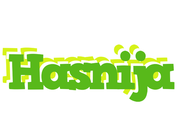 Hasnija picnic logo