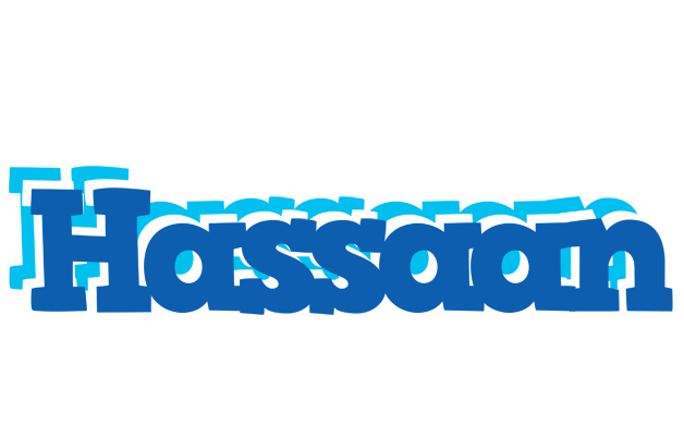 Hassaan business logo
