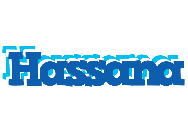 Hassana business logo