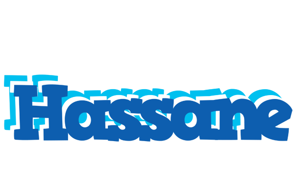 Hassane business logo