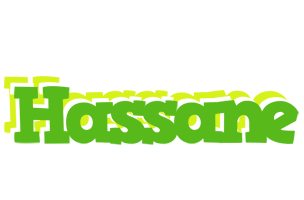 Hassane picnic logo