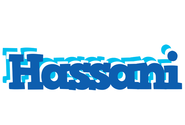 Hassani business logo