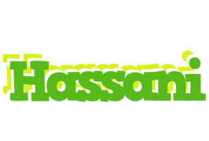 Hassani picnic logo