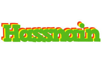 Hassnain crocodile logo