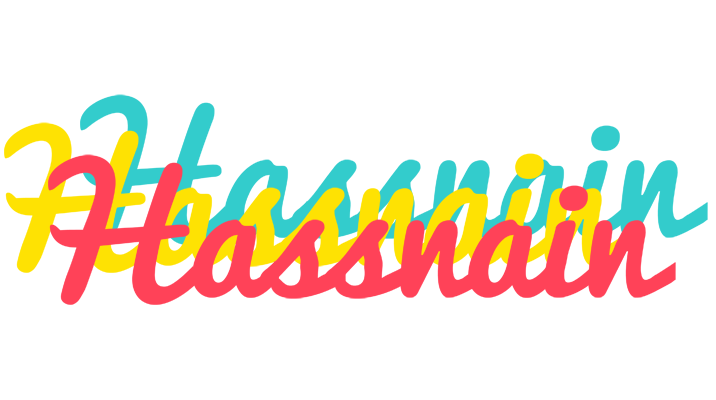 Hassnain disco logo