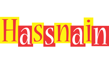 Hassnain errors logo