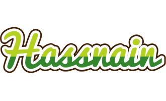 Hassnain golfing logo