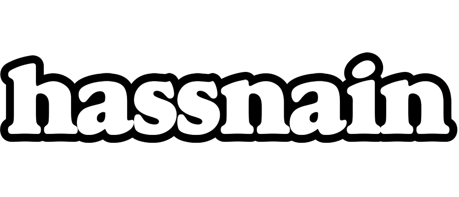 Hassnain panda logo