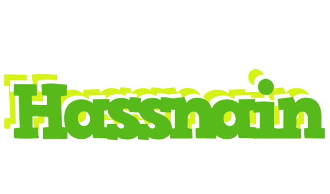 Hassnain picnic logo