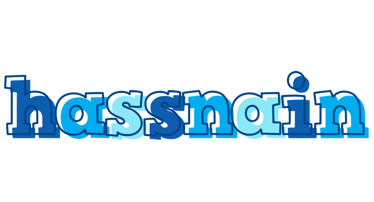 Hassnain sailor logo