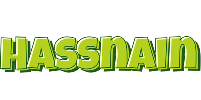 Hassnain summer logo