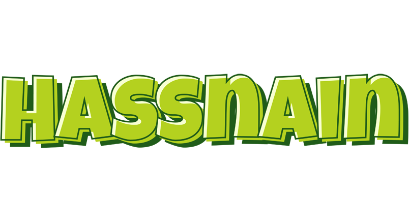 Hassnain summer logo