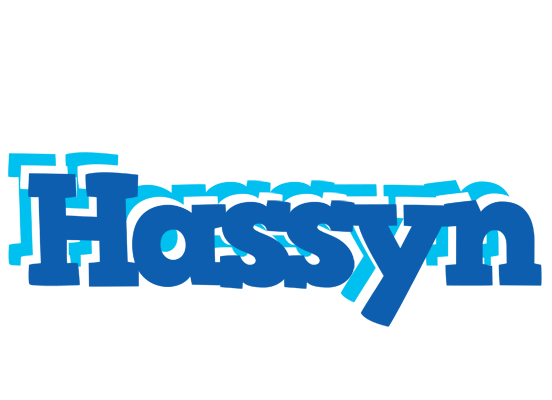 Hassyn business logo
