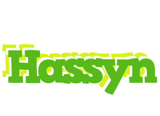 Hassyn picnic logo