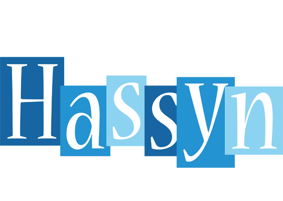 Hassyn winter logo