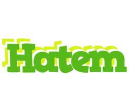 Hatem picnic logo