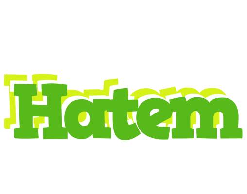 Hatem picnic logo