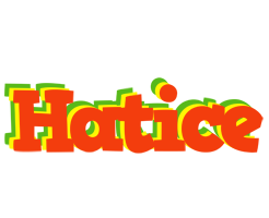 Hatice bbq logo