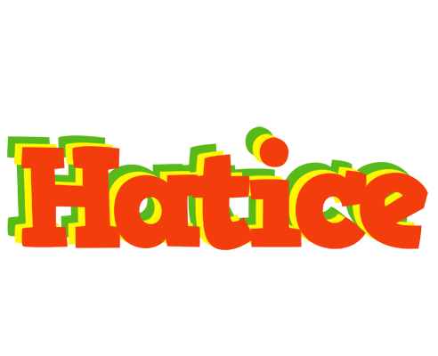 Hatice bbq logo