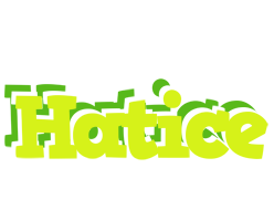 Hatice citrus logo