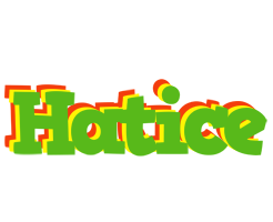 Hatice crocodile logo