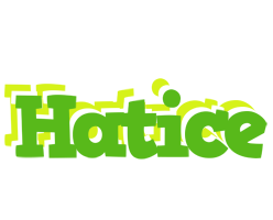 Hatice picnic logo