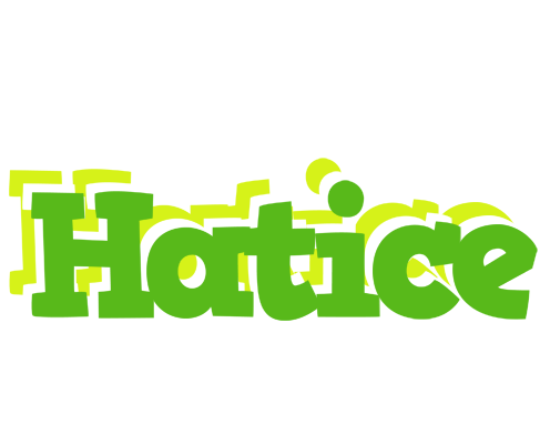 Hatice picnic logo