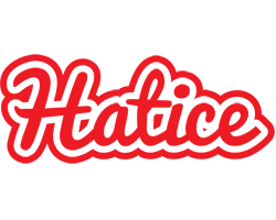 Hatice sunshine logo